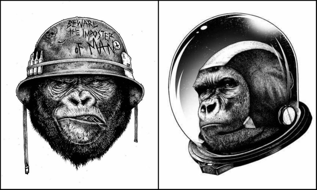 Paul Jackson - macacos