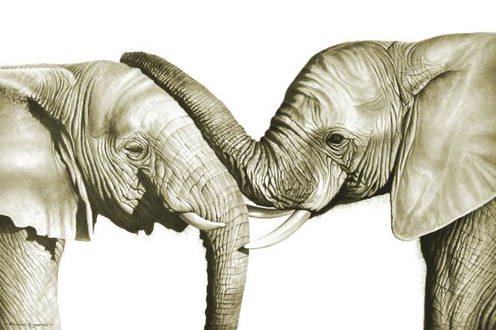 Richard Symonds pintura elefante