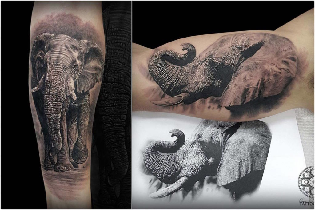 Coen Mitchell - realismo tatuagem