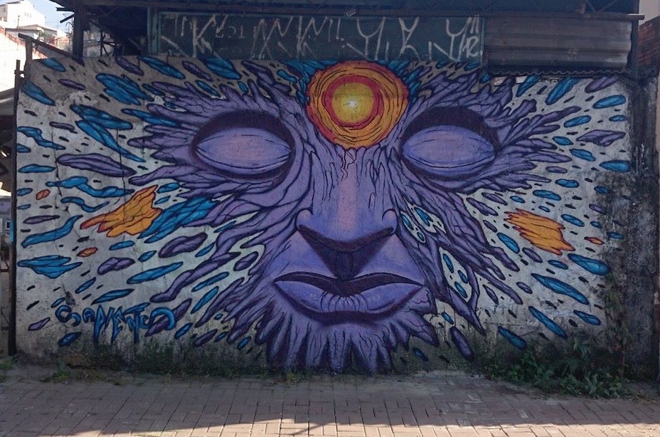 sapiens graffiti mural