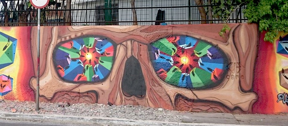 sapiens mural caveira
