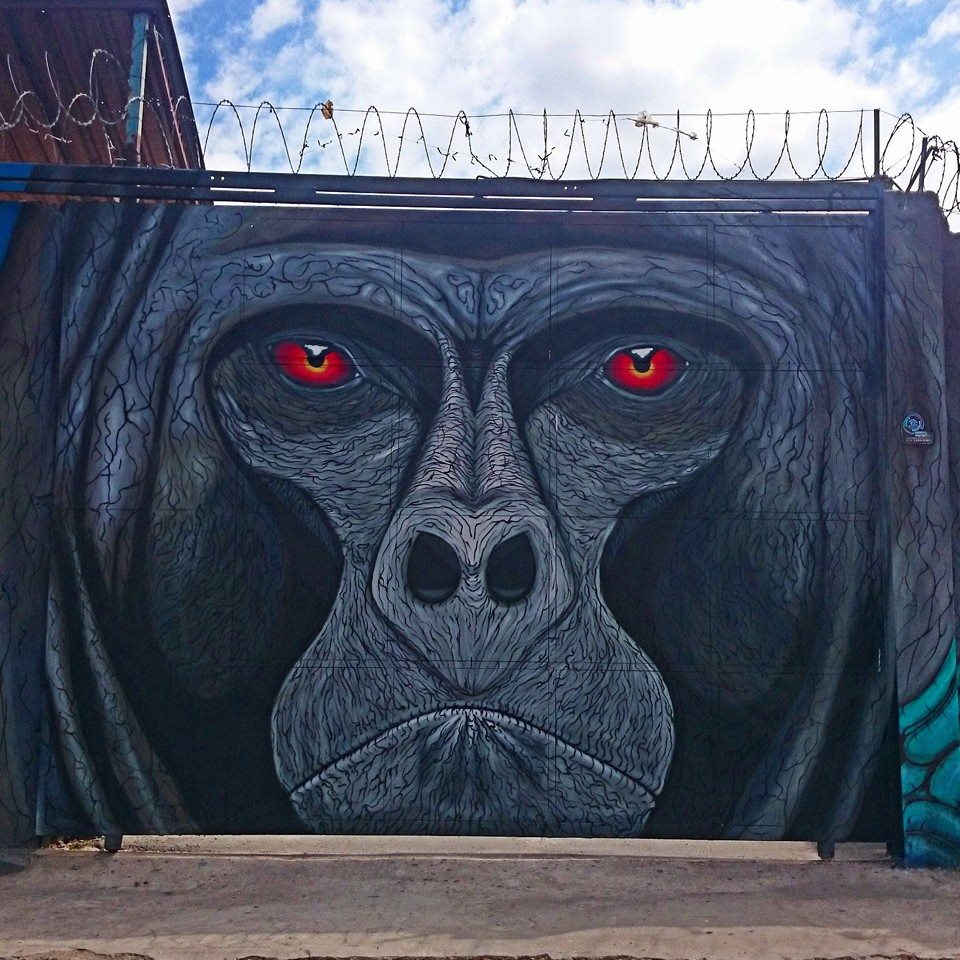 sapiens mural gorila