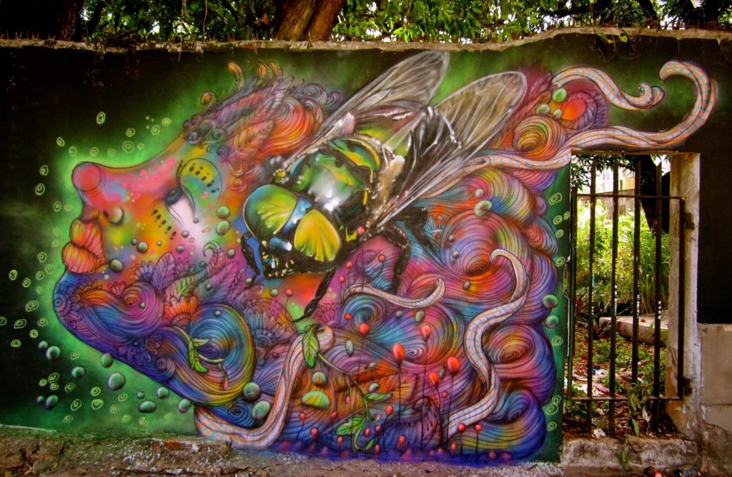 Calangos - graffite mural art
