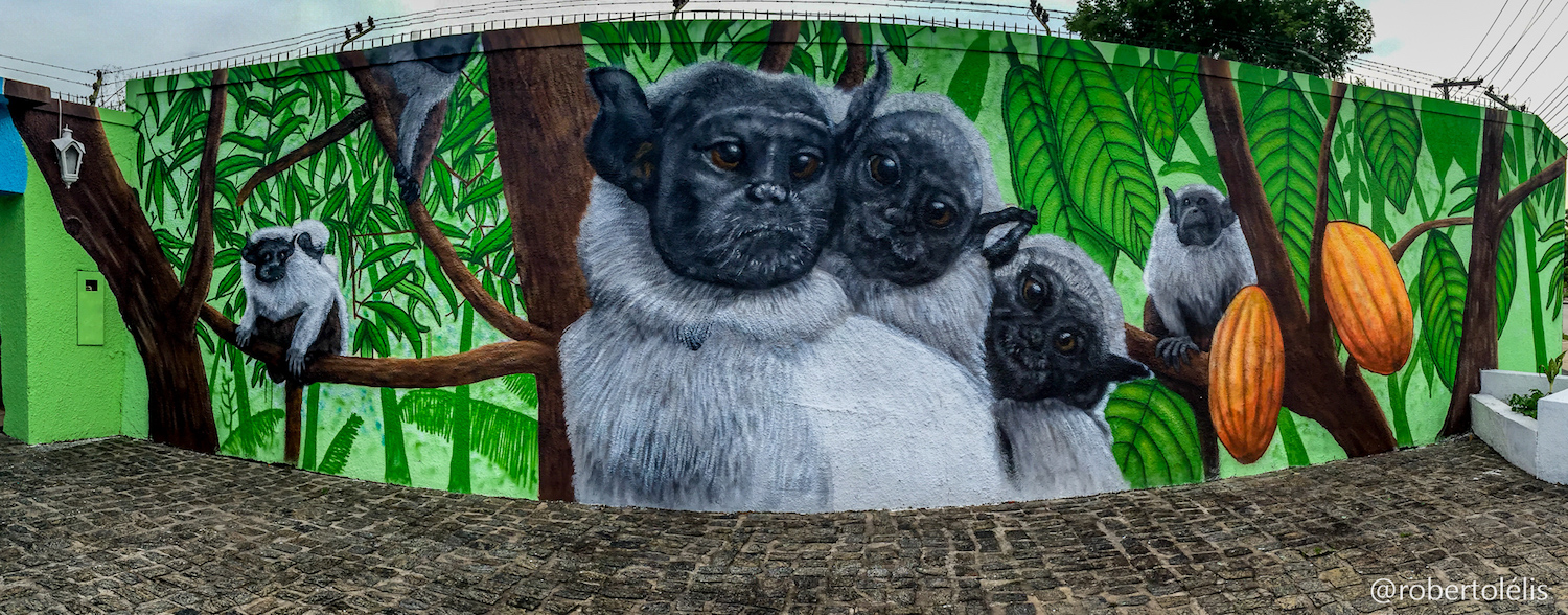 raiz-campos-sauim-mural